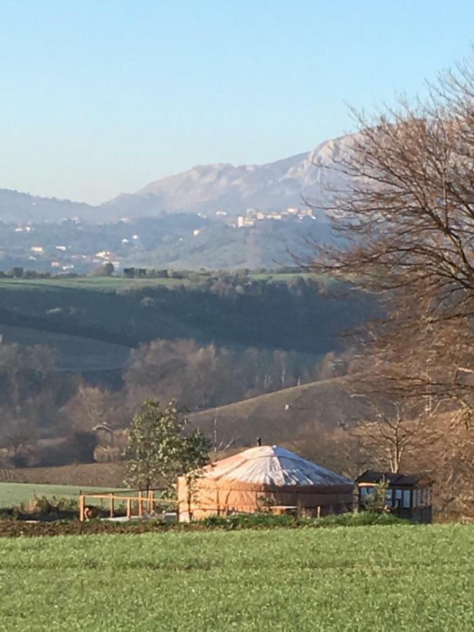 فندق Glamping Abruzzo - The Yurt Catignano المظهر الخارجي الصورة